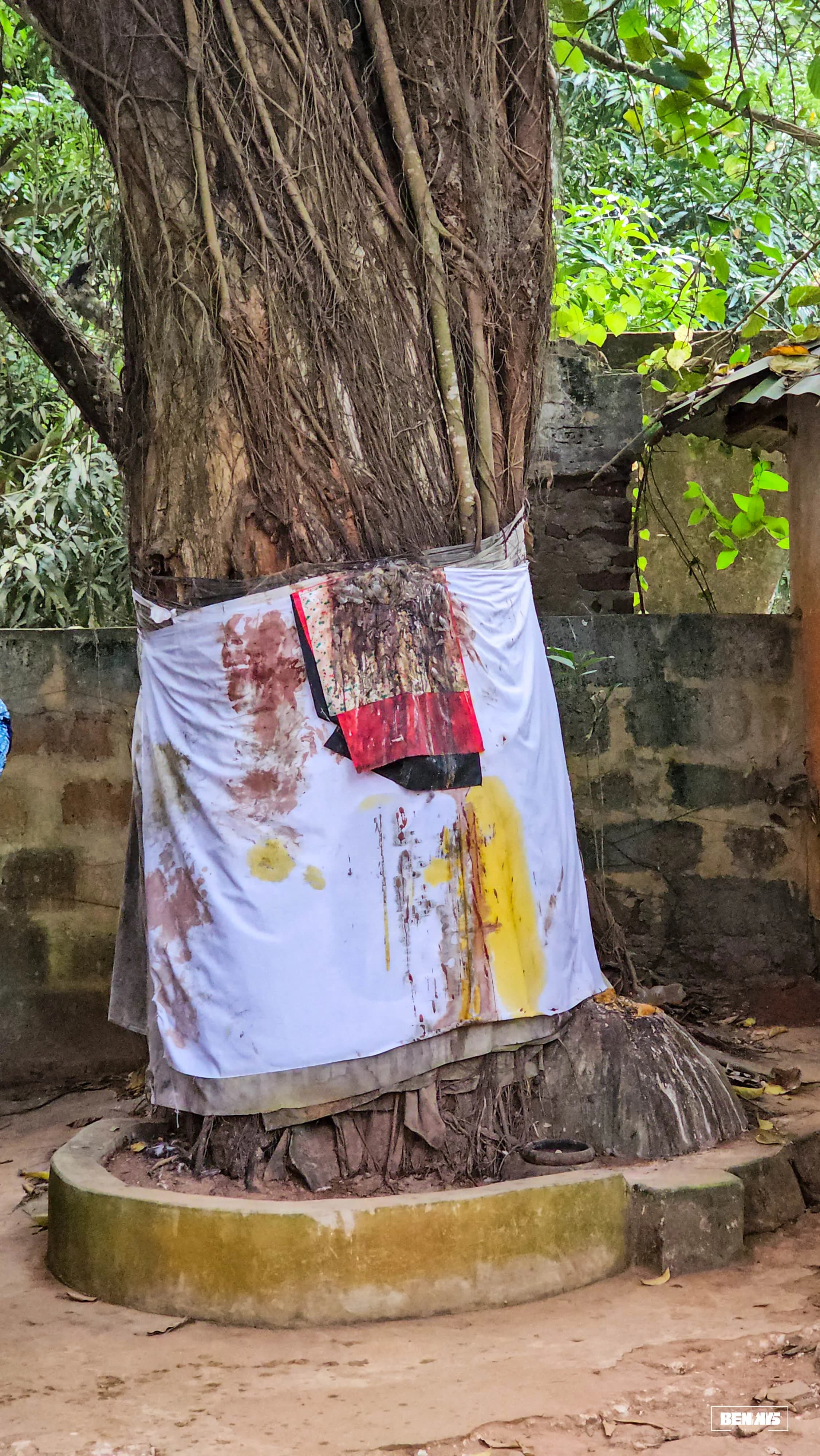 Yló Connections 2026 edition in Benin